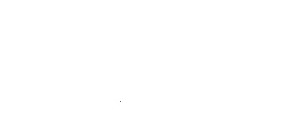 Ambar Maya-Tienda de Ámbar Mexicano