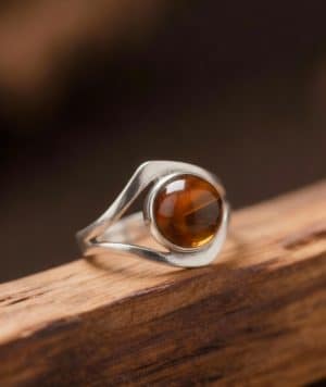 freepik__sustituye-el-anillo-de-la-img1-por-el-anillo-de-la__92750
